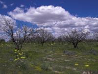 Landschaft auf der Hochfläche